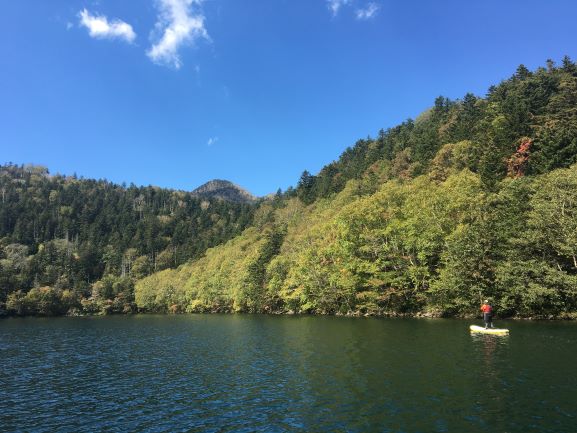 SWEET PICNICの写真1