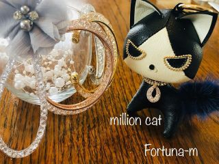 Fortuna-mの写真1