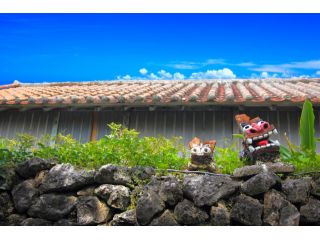 ダイビングショップ アイランダーの写真1