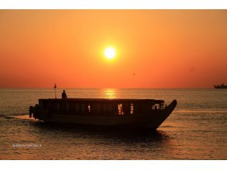 屋形船ゆかりの写真1