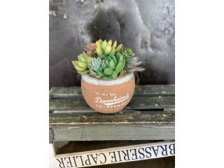 花華ショップの写真1