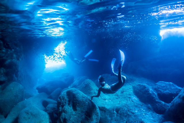 Marine shop Irafuの写真1