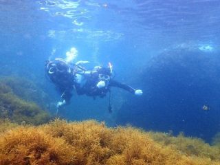 東北海洋スポーツ普及協会の写真1