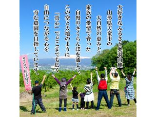 花輪さくらんぼ園の写真1