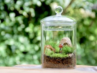 苔むすびの写真1