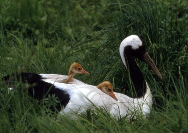 釧路交通の写真1