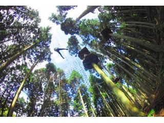 フォレストアドベンチャー・湯の山の写真1