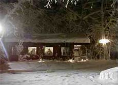 鴟のねじろの写真1