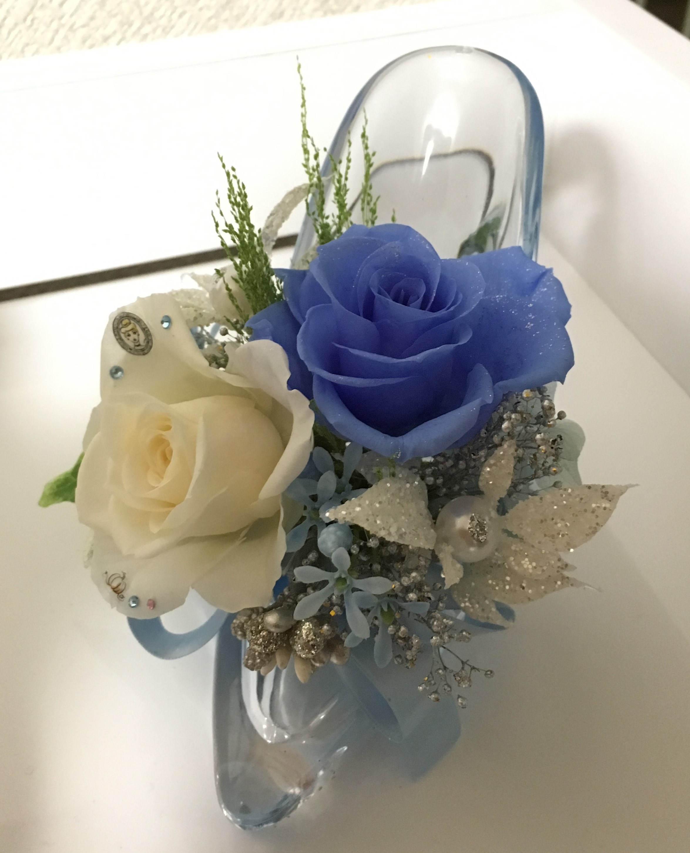 フォーキャットの写真1