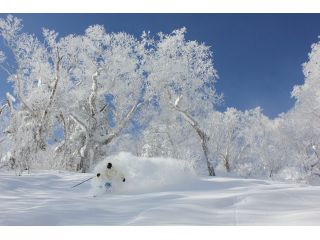 三浦雄一郎&スノードルフィンスキースクールの写真1