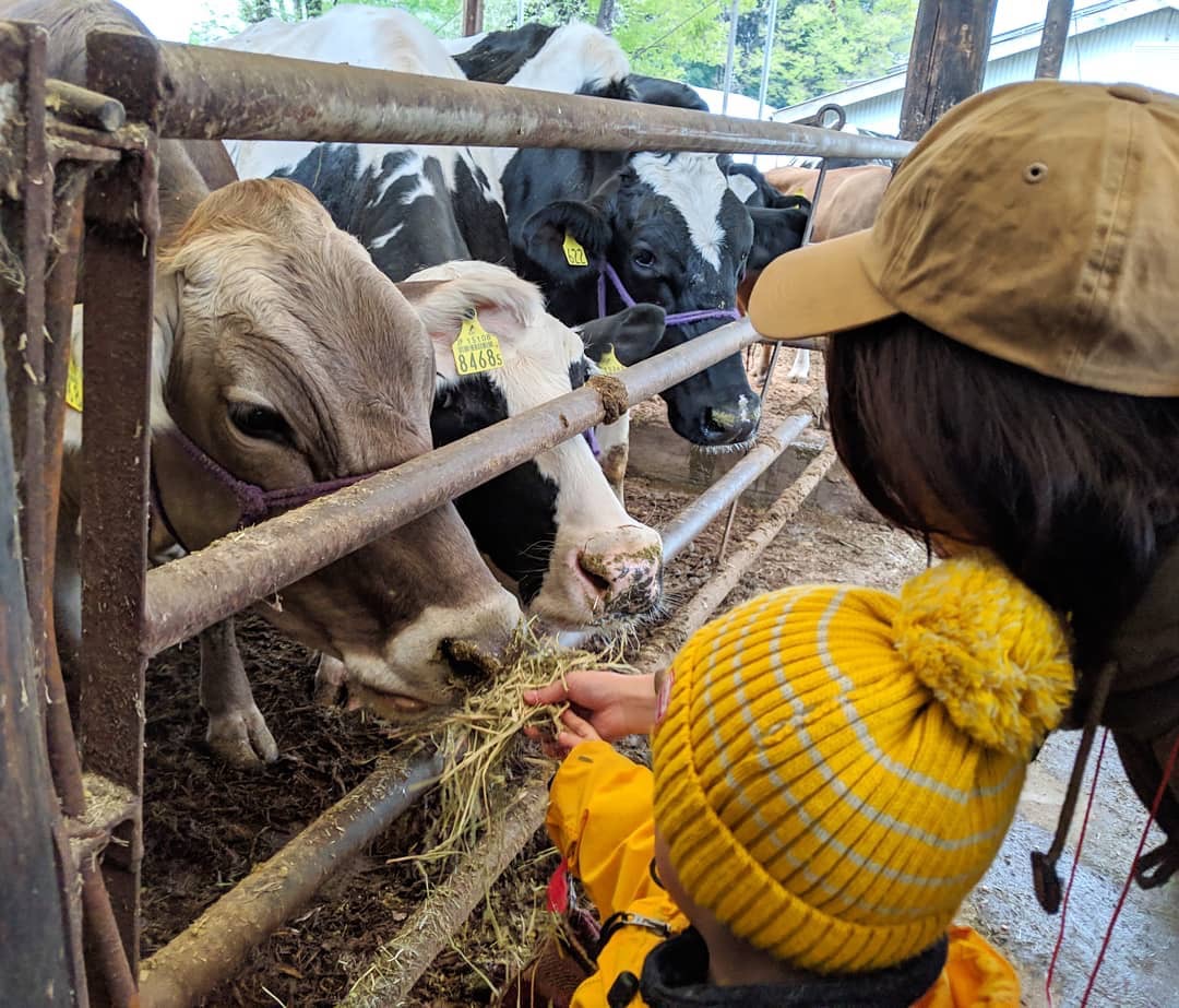 ヨーグルト工房アトレイユの写真1