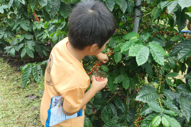 MATAYOSHI COFFEE RARMの写真1