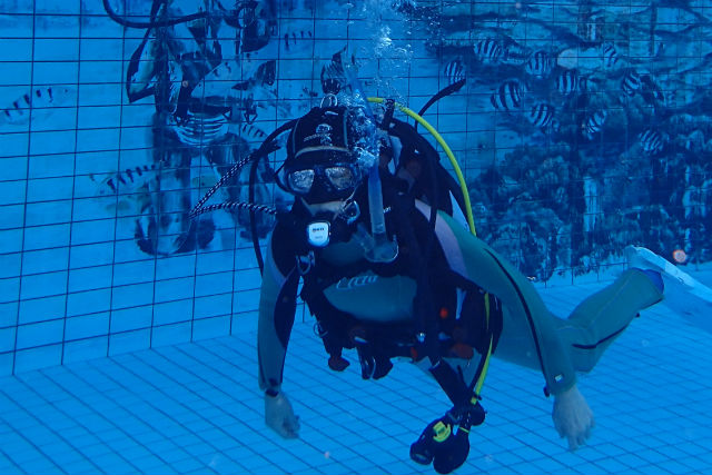 Dive Awardの写真1