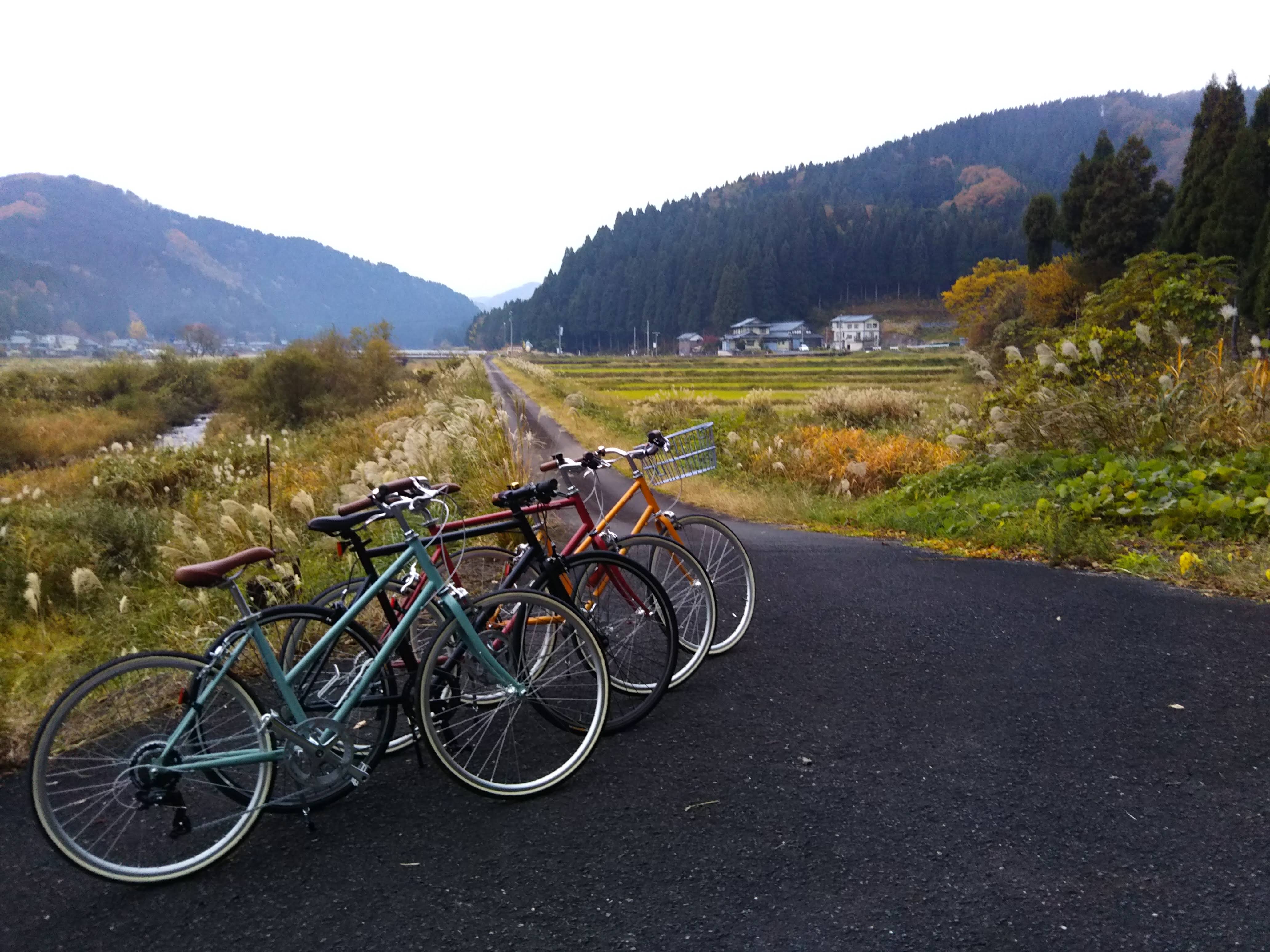 長尾と珈琲の写真1