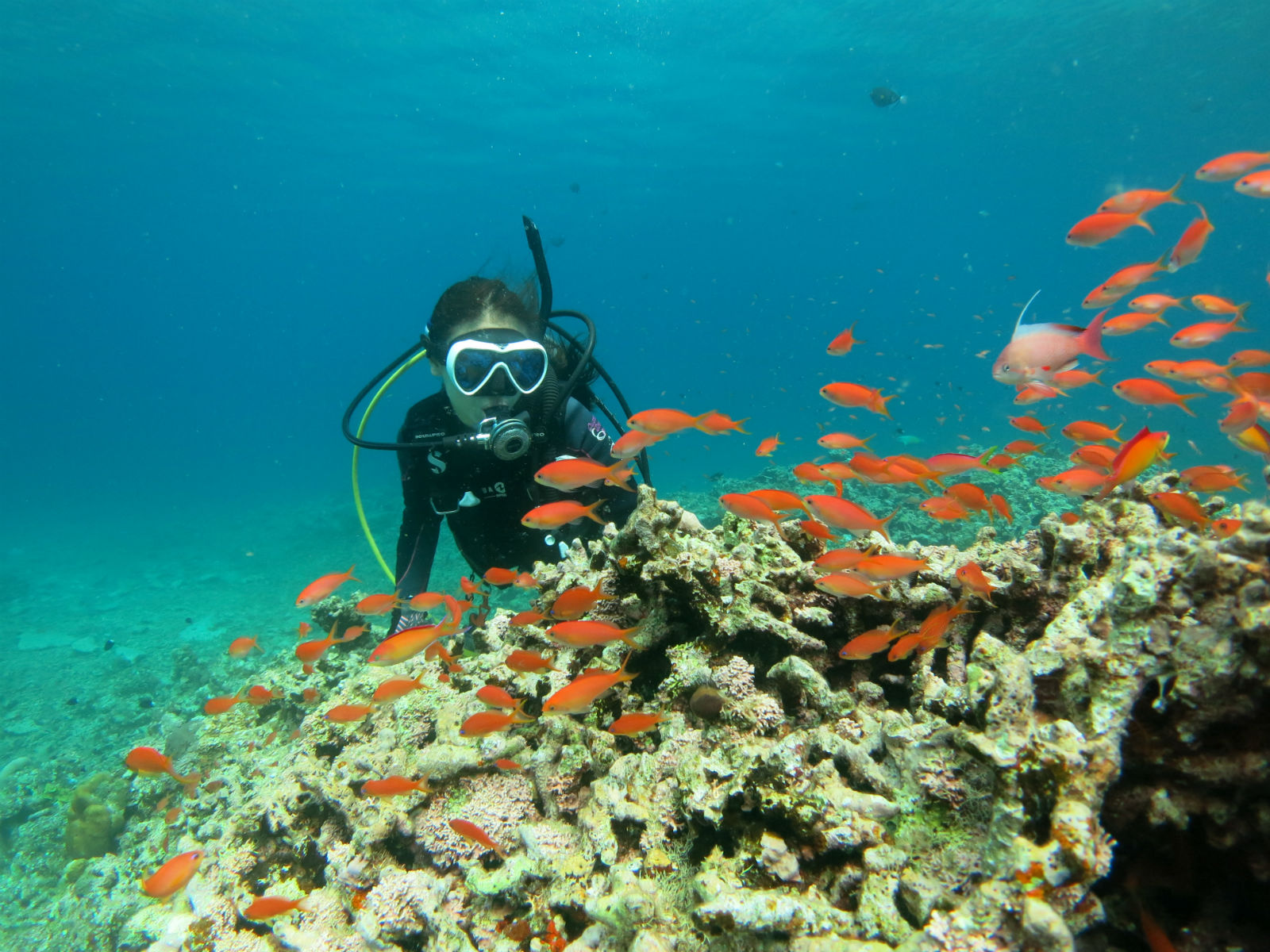 アディーコーストの写真1