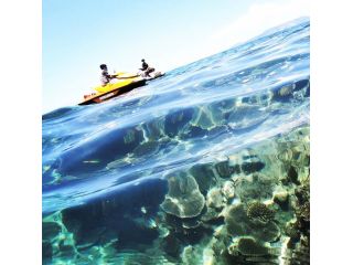 シーライクの写真1