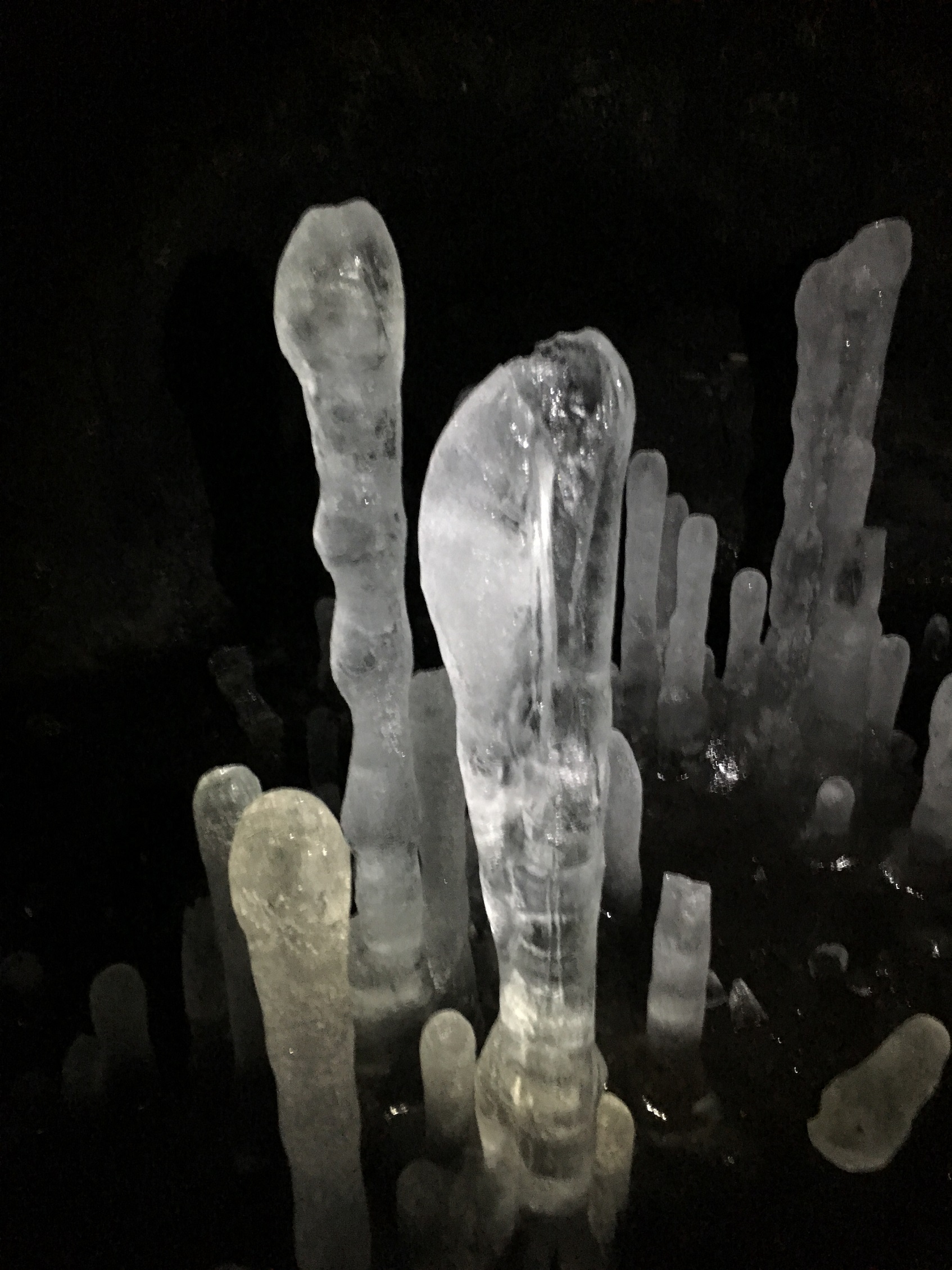 スパイシージャムの写真1