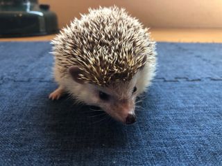 Exotic cafe MOOの写真1