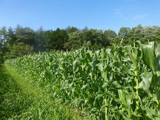 吉備高原ファームの写真1