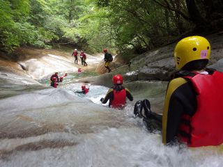 オッターの写真1