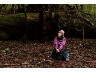 WONDER MOUNTAIN 屋久島の写真1