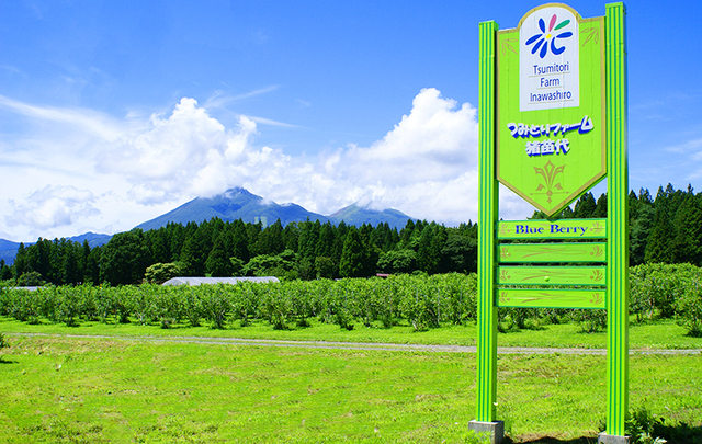 つみとりファーム猪苗代の写真1