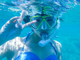 父島ガイドPolarisの写真1