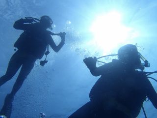 Fluke-Up スキューバダイビングの写真1