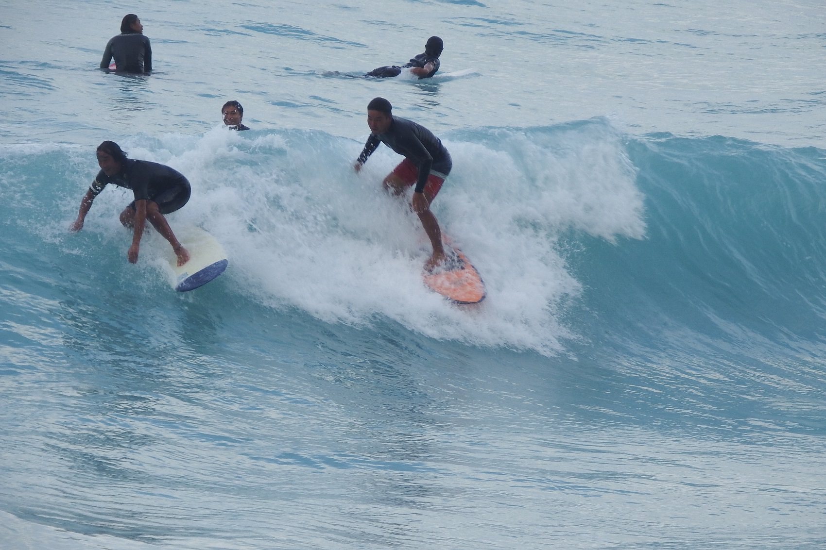 プルメリア サーフデザインの写真1