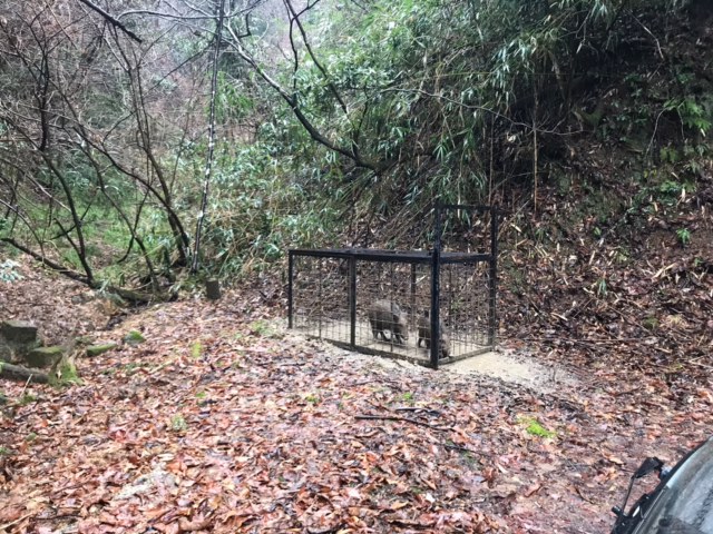 こしのくに里山再生の会の写真1