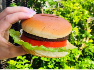 食品サンプル体験 葵サンプルの写真1