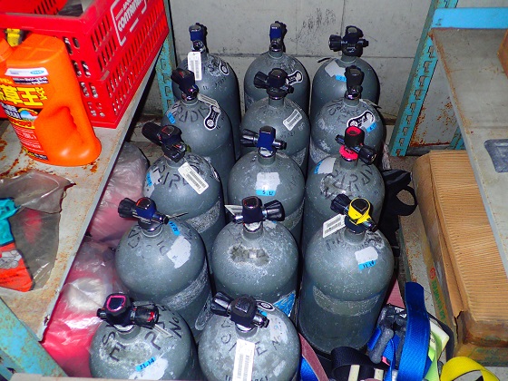 ダイブベース パラダイスの写真1