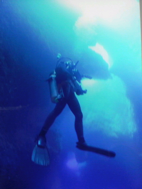 ダイビングサービス BlueHatchの写真1