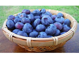 治助ファームの写真1