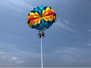 アクアダンサーの写真1