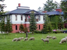 YORKSHIRE FARMの写真1