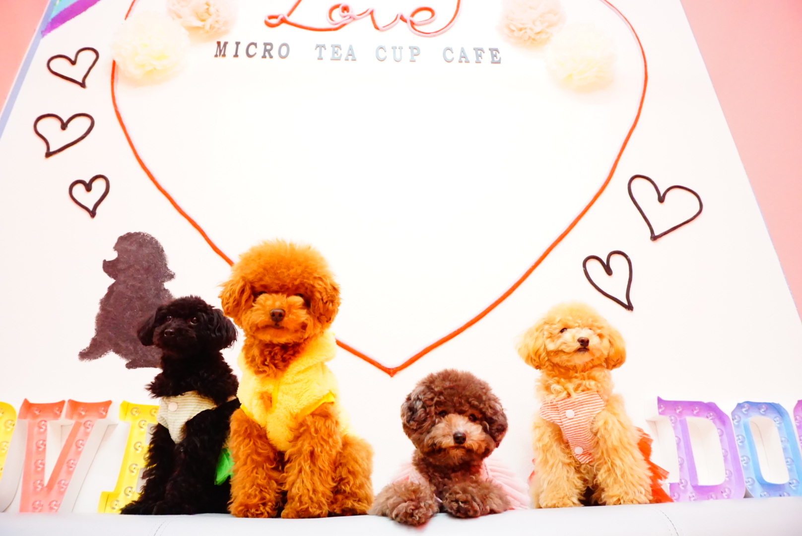 Micro Tea Cup Cafeの写真1