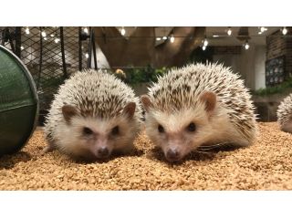 HARRY横浜店の写真1