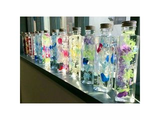 花藤Wisteriaの写真1