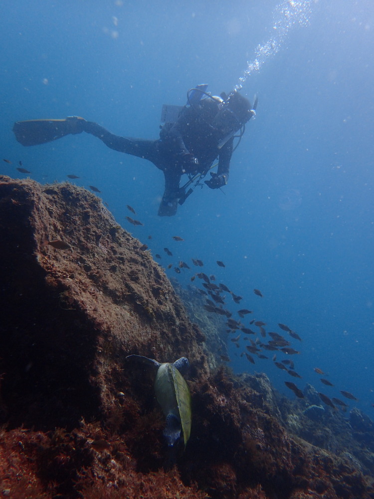 ダイビングショップカルテットの写真1