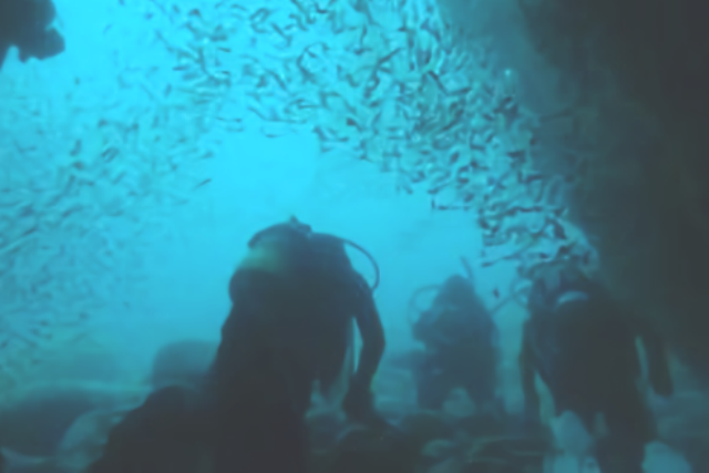 SURF SIDE Jrの写真1