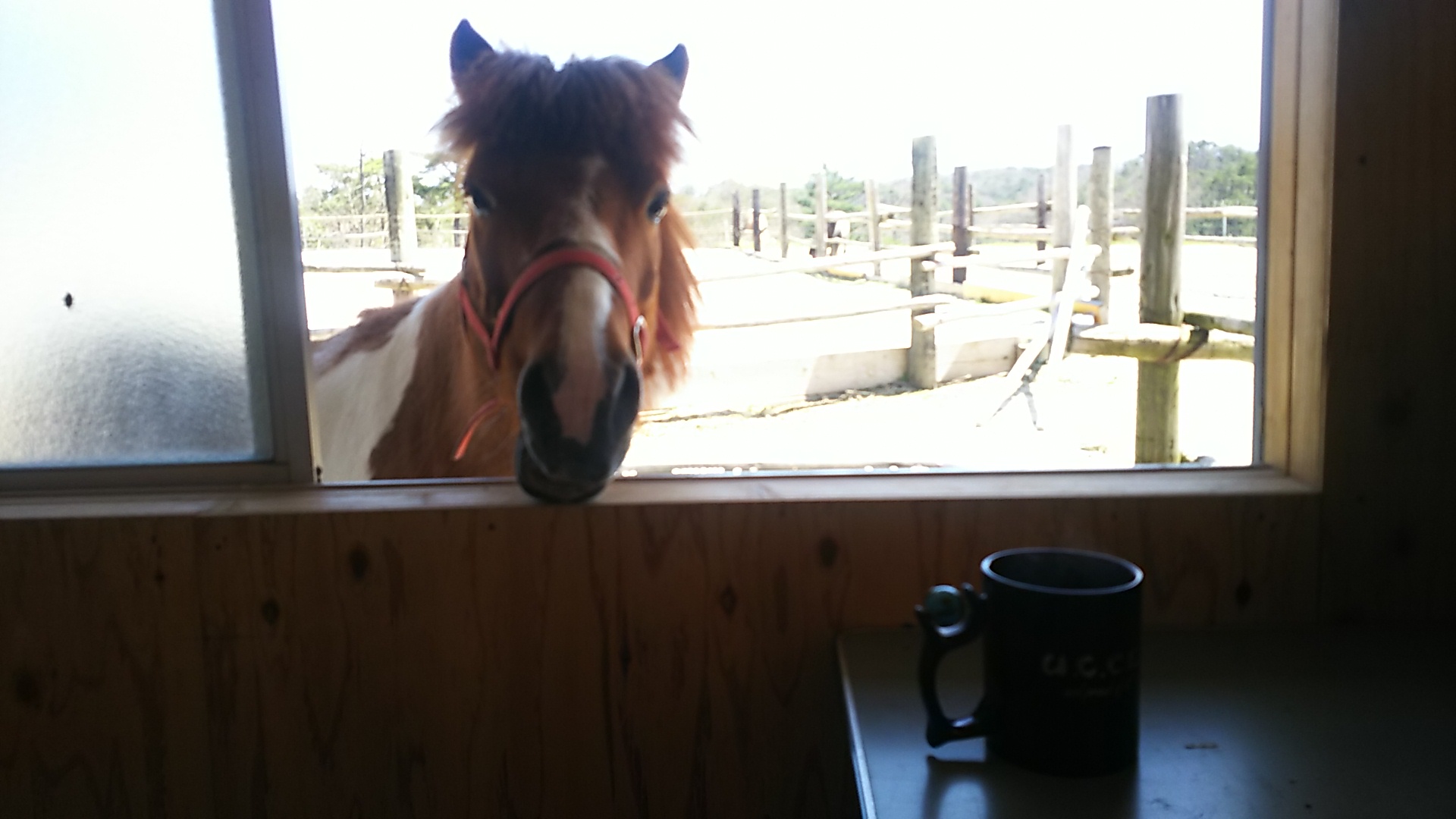 奥出雲 やまなみ ファームの写真1