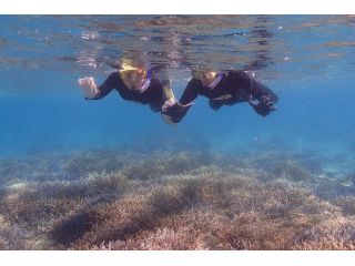 喜屋武岬ダイビングサービスかりゆしの写真1