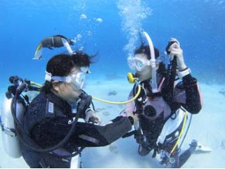 ダイビングステージ アリエルの写真1