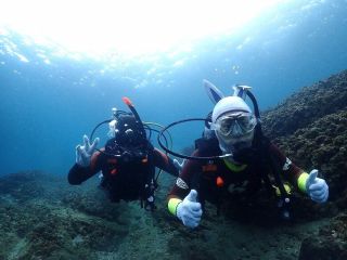 ダイビングショップLibertyの写真1