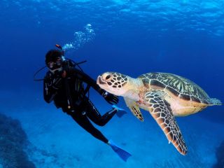 伊豆アクアマリンの写真1