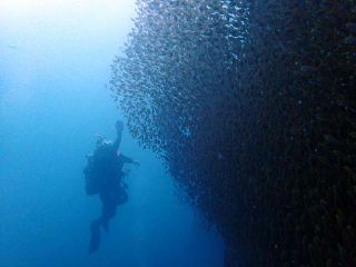 ティーズエリアの写真1