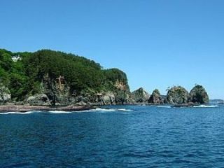 ヤマザキマリンの写真1