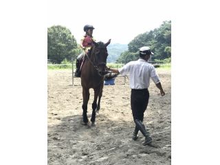 OISO 乗馬 クラブの写真1