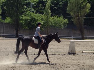 大井松田乗馬クラブの写真1